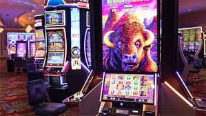 144bet2